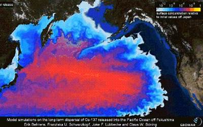 全球遭殃！研究：日本核污水排海240天到達中國、1200天后覆蓋北太平洋 資訊